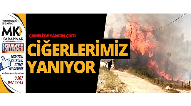 Ciğerlerimiz yanıyor