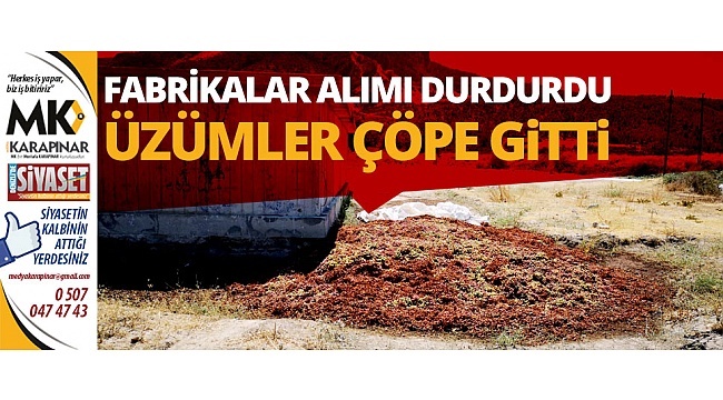 Fabrikalar alımı durdurdu, üzümler çöpe gitti