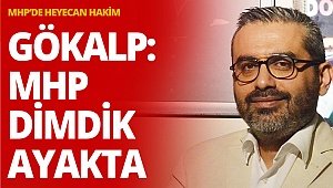 Gökalp: MHP dimdik ayakta