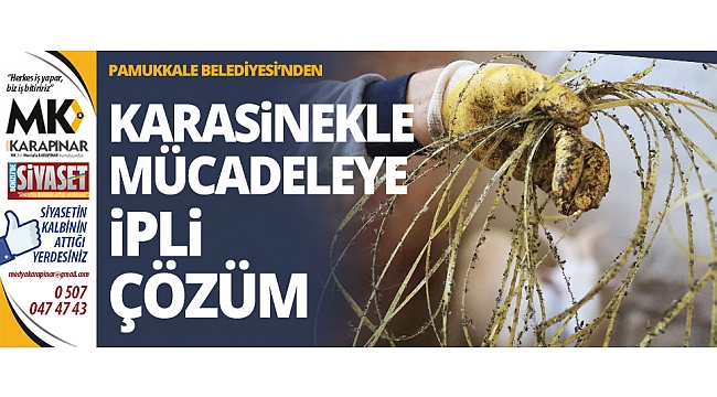 Karasinekle mücadeleye ipli çözüm