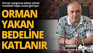 Orman yakan bedeline katlanır