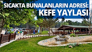 Sıcakta bunalanların adresi: Kefe Yaylası