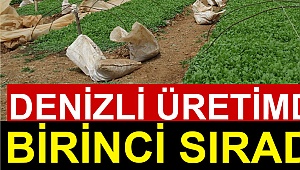 Denizli üretimde birinci sırada!