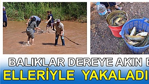 Elleriyle balık tuttular