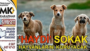 ‘HAYDİ’ SOKAK HAYVANLARINI KORUYACAK