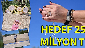 Hedef 250 milyon TL