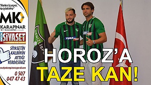 Horoz'a taze kan!