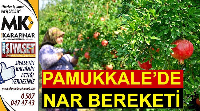 İhracatçı fırmalar tercih ediyor