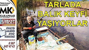 Tarlada balık keyfi