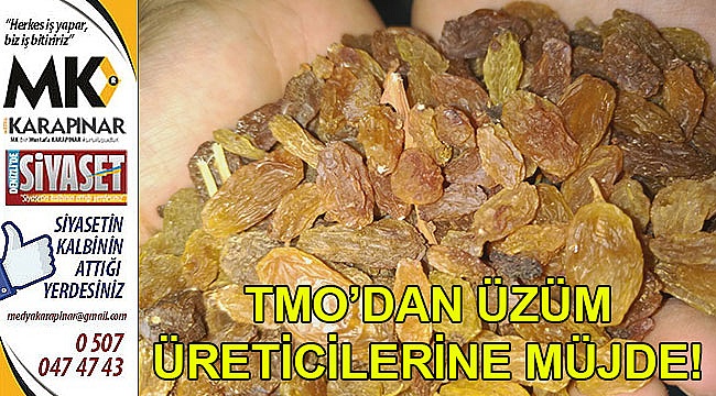 TMO, Buldanlı üzümcüleri rahatlattı