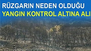 Yangın kontrol altına alındı