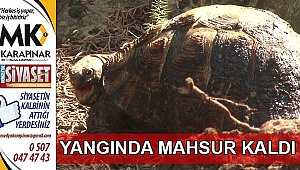 Yangında mahsur kaldı