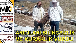 Arıları bilinçsizlik öldürüyor