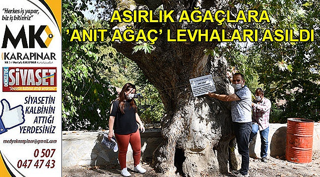 Asırlık ağaçlara ’anıt ağaç’ levhaları asıldı