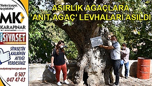 Asırlık ağaçlara ’anıt ağaç’ levhaları asıldı