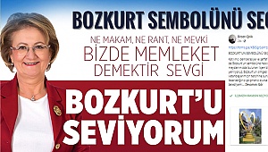 Başkan Çelik, halka sordu