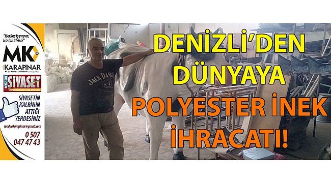 Denizli’den dünyaya polyester inek ihracatı