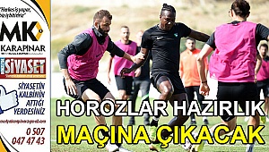 Horozlar hazırlık maçına çıkacak