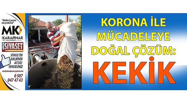 Kekik koronavi vücuttan kovuyor!