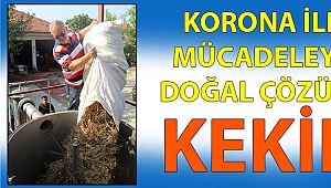 Kekik koronavi vücuttan kovuyor!