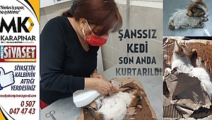 Şanssız kedi son anda kurtarıldı
