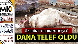 Üzerine yıldırım düşen daha telef oldu