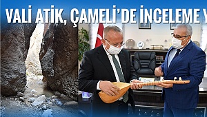  Vali Atik, Çameli'de inceleme yaptı