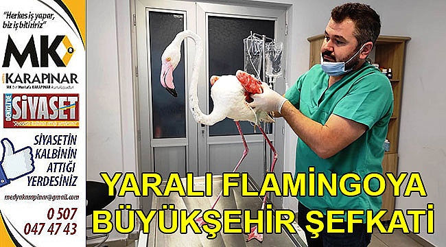 Yaralı flamingoya büyükşehir şefkati