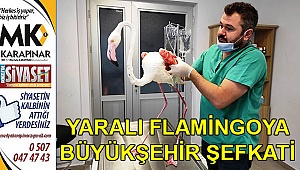 Yaralı flamingoya büyükşehir şefkati