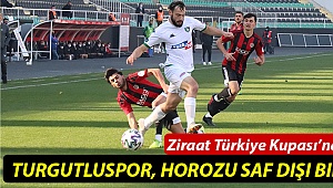 Denizlispor, Ziraat Türkiye Kupası'na veda etti
