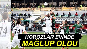 Horozlar evinde mağlup oldu