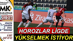 Horozlar ligde yükselmek istiyor