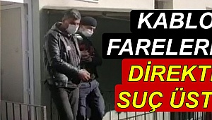 Kablo farelerine direk üstünde suç üstü'