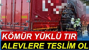 Kömür yüklü tır alevlere teslim oldu