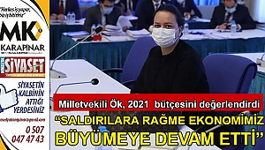 Milletvekili Nilgün ÖK, 2021 yılı bütçesini değerlendirdi