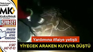 Yiyecek ararken kuyuya düştü