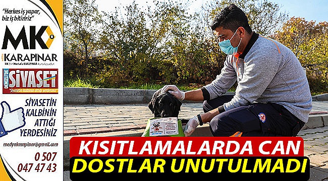 Büyükşehir can dostları unutmadı