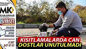 Büyükşehir can dostları unutmadı