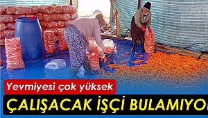 Çalışacak işçi bulamıyorlar