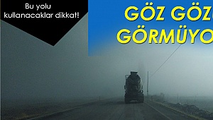 Denizli'de sis etkili oldu