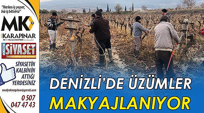 Denizli'de üzümler makyajlanıyor