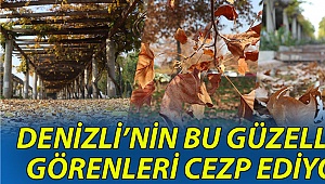 Denizli'nin bu güzelliği görenleri cezp ediyor