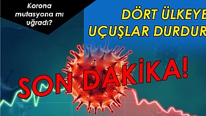 DÖRT ÜLKEYE UÇUŞLAR DURDURULDU