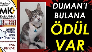 Duman'ı bulana ödül var