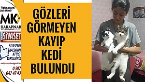 Gözleri görmeyen kayıp kedi bulundu