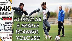 Horozlar 5 eksikle İstanbul yolcusu