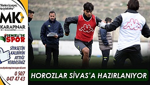 Horozlar Sivas'a hazırlanıyor