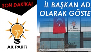 İl başkan adayı olarak gösterildi