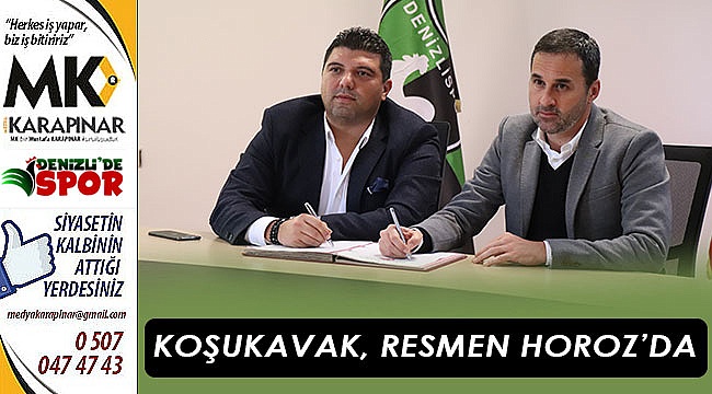 Koşukavak, resmen horozda