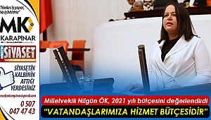 Milletvekili Nilgün Ök, 2021 yılı bütçesini değerlendirdi